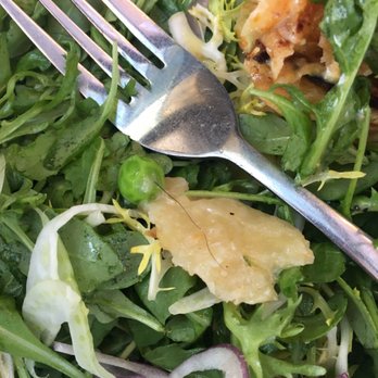 Kramers - Free hair in my food. Yummy. - Bookstores Near Me - Washington, DC, District of Columbia Kramers - Free hair in my food. Yummy. - Bookstores Near Me - Washington, DC, District of Columbia