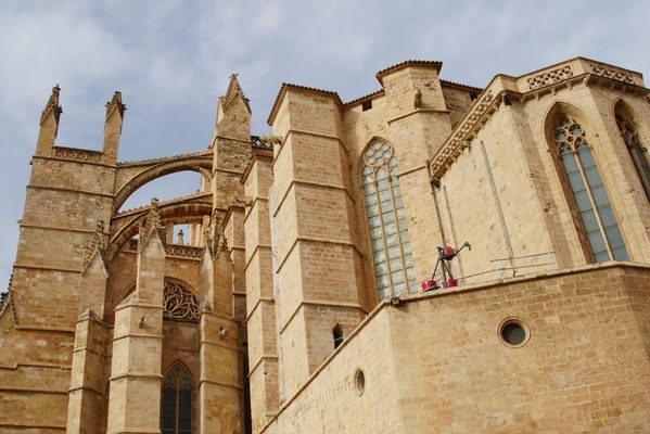 Catedral-Basílica de Santa María de Mallorca by null