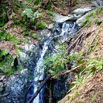 Uvas Canyon County Park - Parks Near Me - Morgan Hill, California