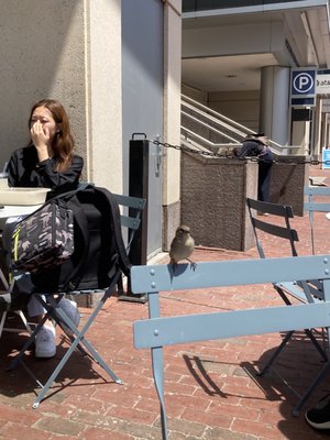 Flour Bakery + Cafe by null