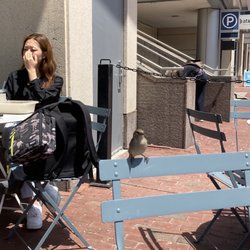 Flour Bakery + Cafe - I had a friend hanging out with me on the patio.