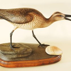 The Bird Store