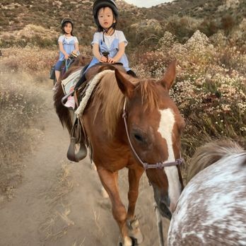 Susie Q Ranch - Horseback Riding Near Me - Murrieta, California Susie Q Ranch - Horseback Riding Near Me - Murrieta, California