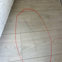 The floor 2