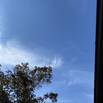 Spartek Tree Service - My view up after - Tree Services Near Me