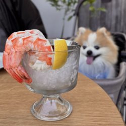 Jumbo Shrimp Cocktail w/ provocative cocktail sauce (4 pc-$16)