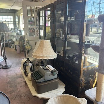 Caring About The Strays - Thrift Stores Near Me - Westwood, New Jersey Caring About The Strays - Thrift Stores Near Me - Westwood, New Jersey