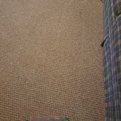 The Cleaning Lady Services