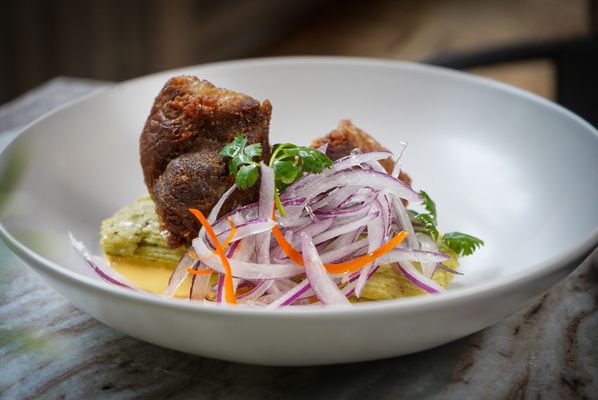 Fauna Latin Flavor by null