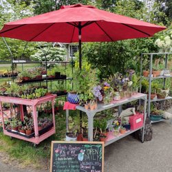 My Tiny Farm - My Tiny Farm stand