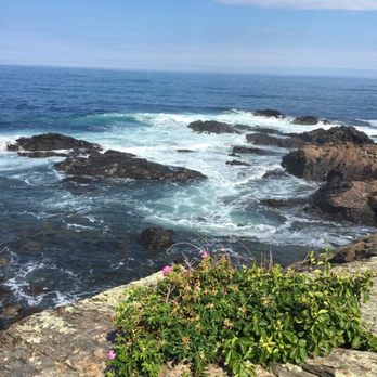 Auberge On The Cove - Marginal way - The image shows a coastal scene with the ocean extending to the horizon under a partly cloudy sky. Waves are breaking against dark, rugged rocks along the shoreline. In the foreground, there is green foliage with pink flowers growing on a rocky surface. The scene captures a peaceful, natural seaside landscape. - Hotels Near Me - Ogunquit, Maine
