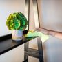 Photo of De La Rosa House Cleaning