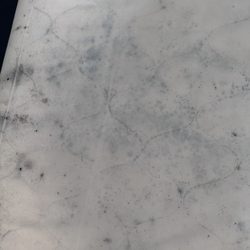 Shalimar Resort & Conference Center
