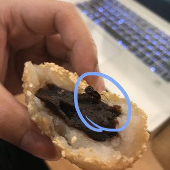 HK Dim Sum - Roach - Dim Sum Near Me - Houston, Texas HK Dim Sum - Roach - Dim Sum Near Me - Houston, Texas