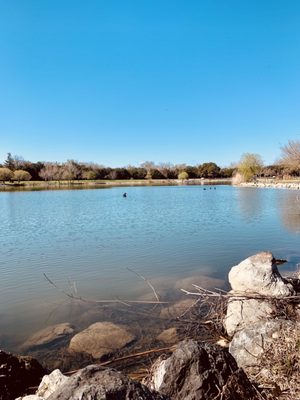 Photo of Hellyer Park & Coyote Creek Trail - San Jose, CA, US. Hellyer Park 03.06.22