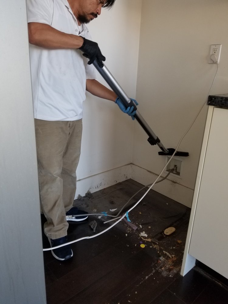 D&L CLEANING SERVICES Updated June 2024 403 E 99th St, Los Angeles
