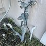 Photo of Bird's Home Services