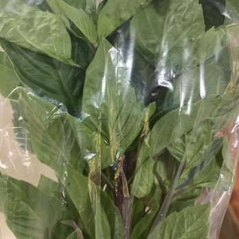 Pacific Rim Foods - Fresh basil...not expensive - International Grocery Near Me - Portage, Michigan Pacific Rim Foods - Fresh basil...not expensive - International Grocery Near Me - Portage, Michigan