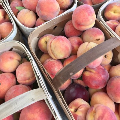 St Matthews Farmers Market by null