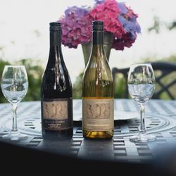 Monte Ferro Winery