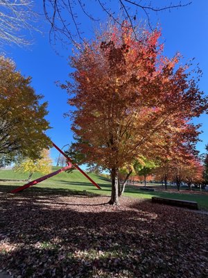 Gold Medal Park by null