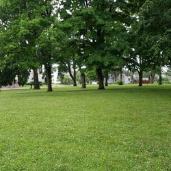 Swicker Park - Lots of trees for shade