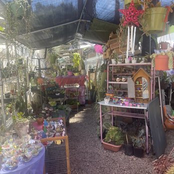 Francis's Cactus Succulents - Nurseries & Gardening Near Me - Los Angeles, California Francis's Cactus Succulents - Nurseries & Gardening Near Me - Los Angeles, California