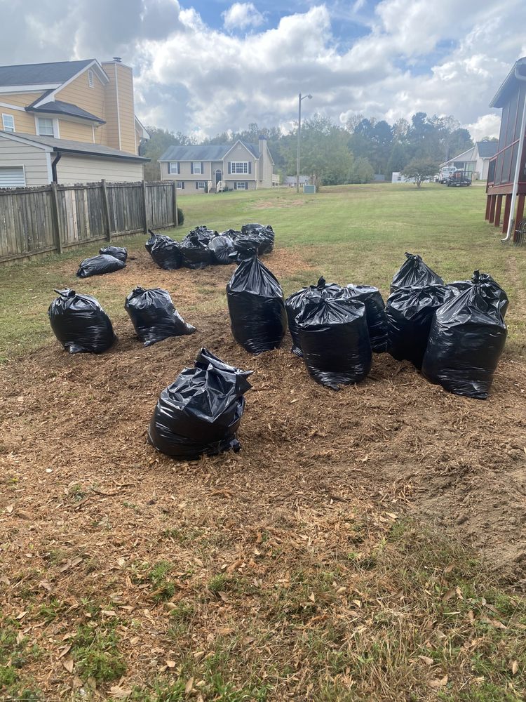 Slide of Rapid Removal Plus