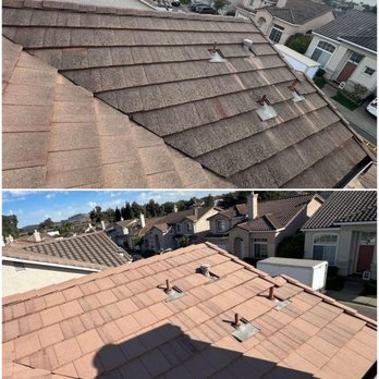 EcoTech Enterprises - Mold, moss and algae removed safely with our steam cleaning method. - Pressure Washers Near Me - Castro Valley, California