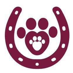 Talbot Road Veterinary Services