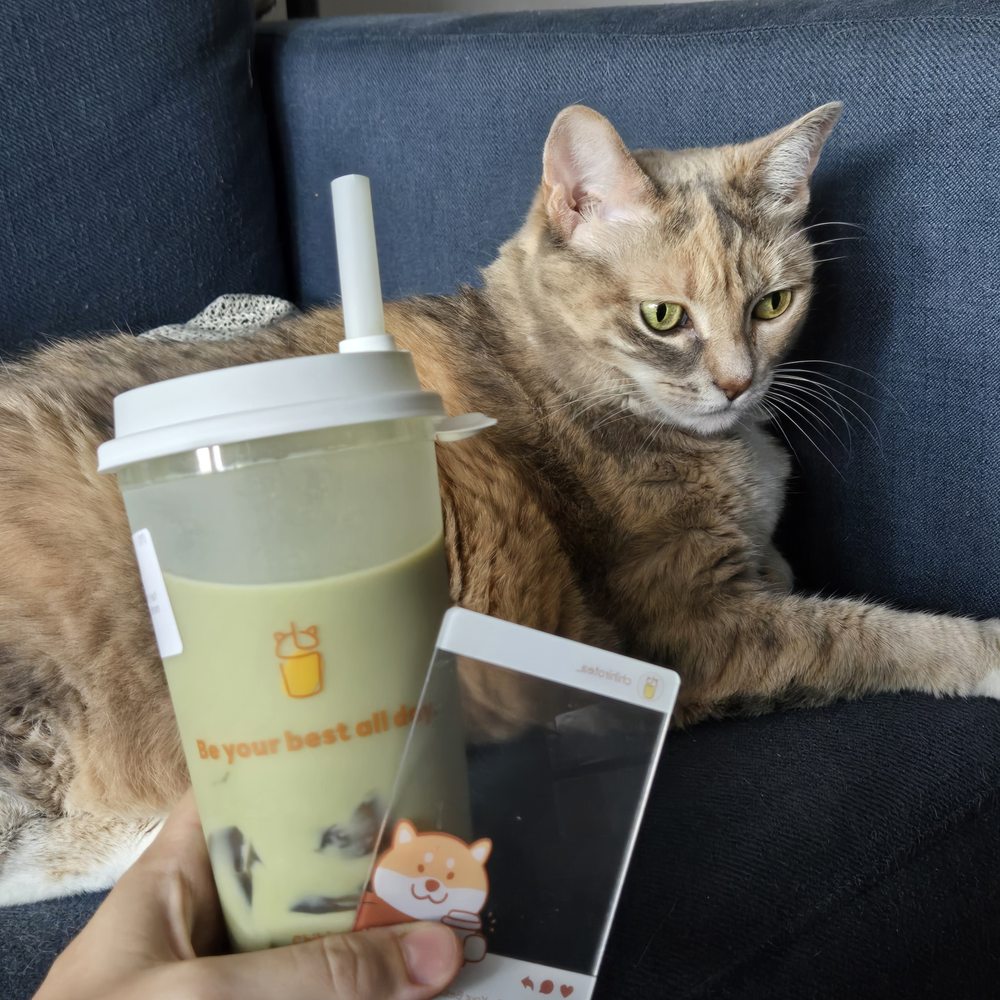 Chihiro Tea - A picture of a cat with a matcha bubble tea and a clear promotional card in the foreground. - Bubble Tea Near Me - Brooklyn, New York Chihiro Tea - A picture of a cat with a matcha bubble tea and a clear promotional card in the foreground. - Bubble Tea Near Me - Brooklyn, New York