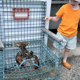 Staff was great with showing and teaching about the lobsters in the tank! Took out a big one for us. Staff was great with showing and teaching about the lobsters in the tank! Took out a big one for us.