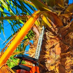 Danny G Yard Care and Tree Care