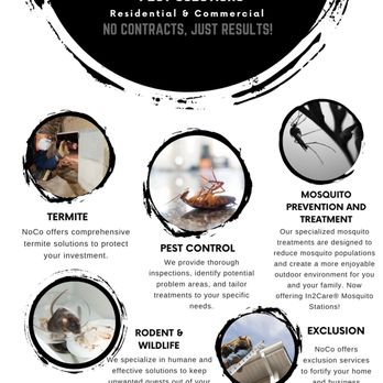 NoCo Pest Solutions - Pest Control Near Me NoCo Pest Solutions - Pest Control Near Me