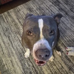 Kona Kona