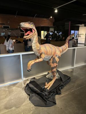 Houston Museum of Natural Science at Sugar Land by null