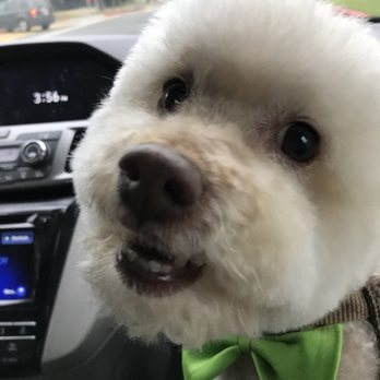 Pooch Pawlor Spa - Pet Groomers Near Me - Glendale, California Pooch Pawlor Spa - Pet Groomers Near Me - Glendale, California