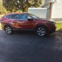 Photo of Medaglia Auto Imports