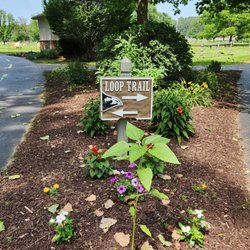 Luray-Hawksbill Greenway - Great path with beautiful plants and memorials.