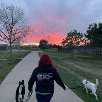 Pawsitive Vibes Petcare - We also do evening drop ins when you're out of town. - Pet Sitting Near Me Pawsitive Vibes Petcare - We also do evening drop ins when you're out of town. - Pet Sitting Near Me