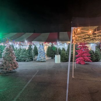 Smith’s Pumpkin Patch and Christmas Trees - Lots of tree options - Pumpkin Patches Near Me - La Cañada Flintridge, California Smith’s Pumpkin Patch and Christmas Trees - Lots of tree options - Pumpkin Patches Near Me - La Cañada Flintridge, California