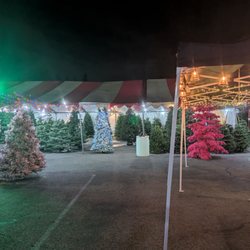 Smith’s Pumpkin Patch and Christmas Trees - Lots of tree options
