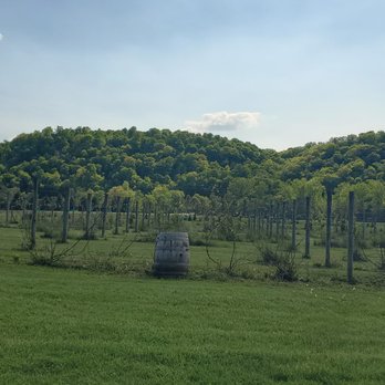 Vino In the Valley - American Near Me - Maiden Rock, Wisconsin Vino In the Valley - American Near Me - Maiden Rock, Wisconsin