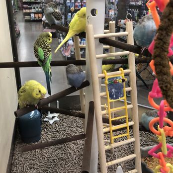 Petco - Pet Stores Near Me - Allen, Texas Petco - Pet Stores Near Me - Allen, Texas