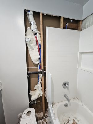 Lake Washington Construction