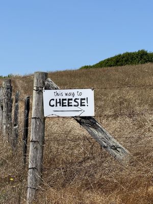 Point Reyes Farmstead Cheese Co by null
