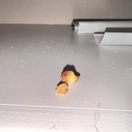 Food crumbs and a clearly unclean shelf.