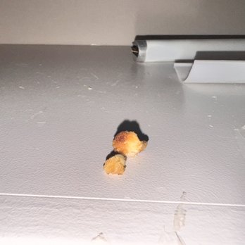 Marriott at Research Triangle Park - Food crumbs and a clearly unclean shelf. - Hotels Near Me - Durham, North Carolina