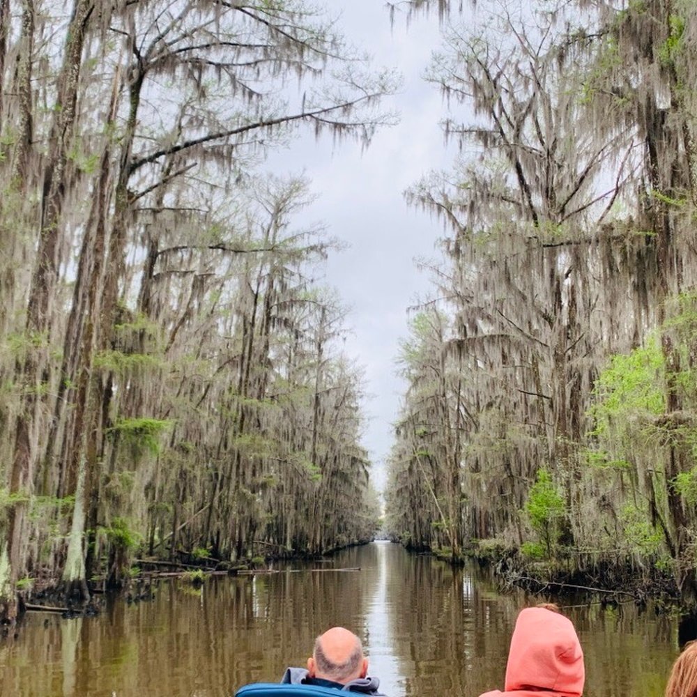 Caddo Lake Bayou Tours - Boat Tours Near Me - Uncertain, Texas