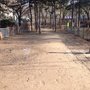 Photo of Hundezone Arne-Carlsson-Park